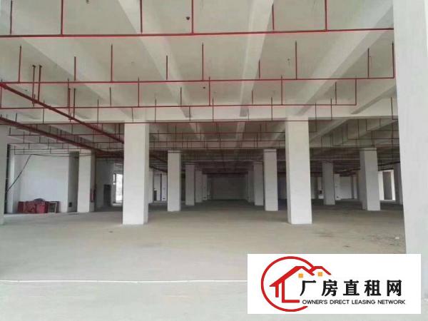 
深圳进出口保税仓厂房仓库招租项目总面积29万平租