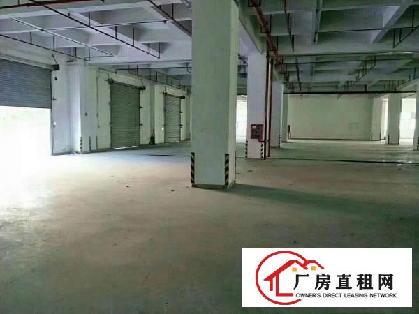 
福永107国道边，靠近机场，高新园区6万平方出租，
