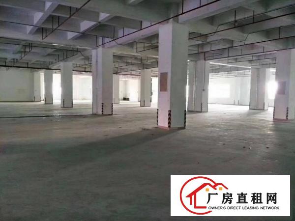 
福永107国道边，靠近机场，高新园区6万平方出租，