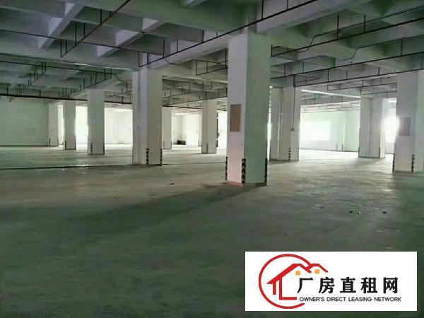 
福永107国道边，靠近机场，高新园区6万平方出租，