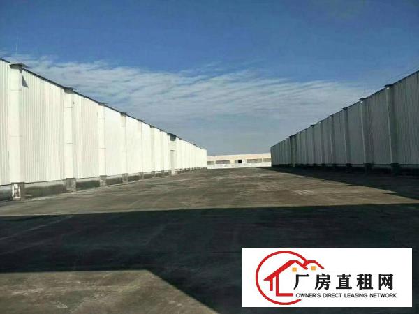 
（出租）原房东砖墙到顶单一层独院5500滴水13米