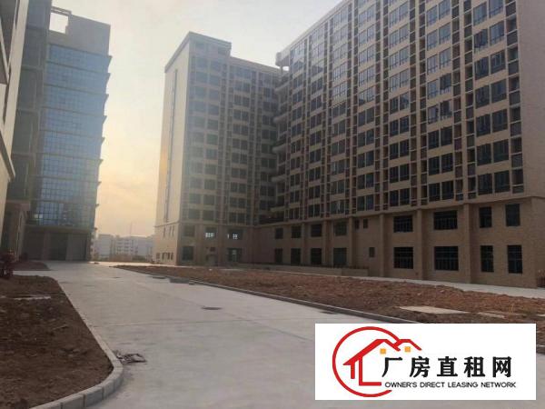 
东莞市凤岗镇新建高型产业园107000平方厂房出租