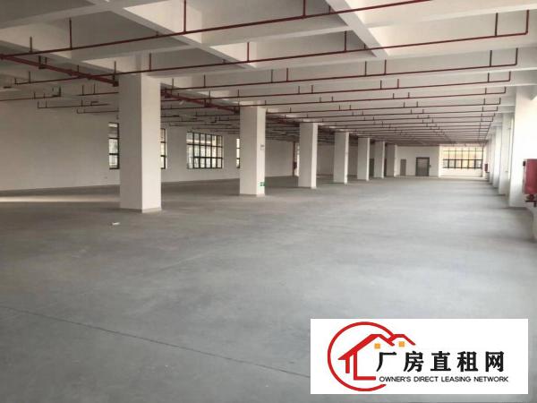
东莞市凤岗镇新建高型产业园107000平方厂房出租