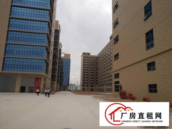
东莞市凤岗镇新建高型产业园107000平方厂房出租