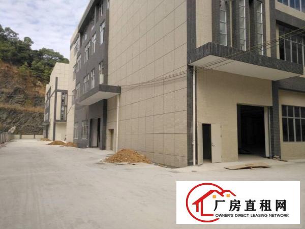 
凤岗全新红本高大上厂房5万带喷淋原房东直租