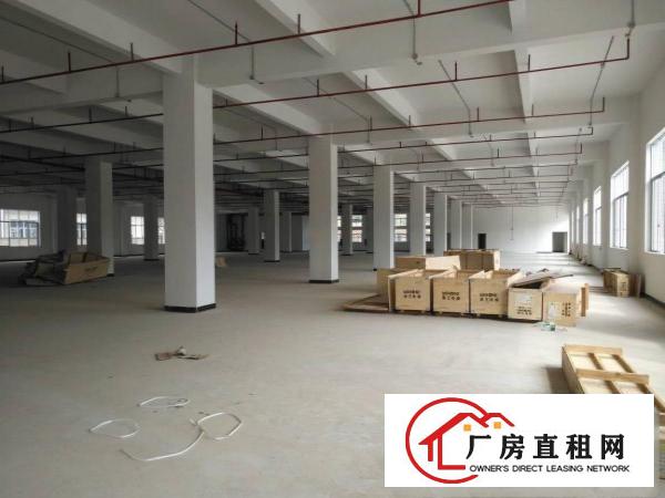 
凤岗全新红本高大上厂房5万带喷淋原房东直租