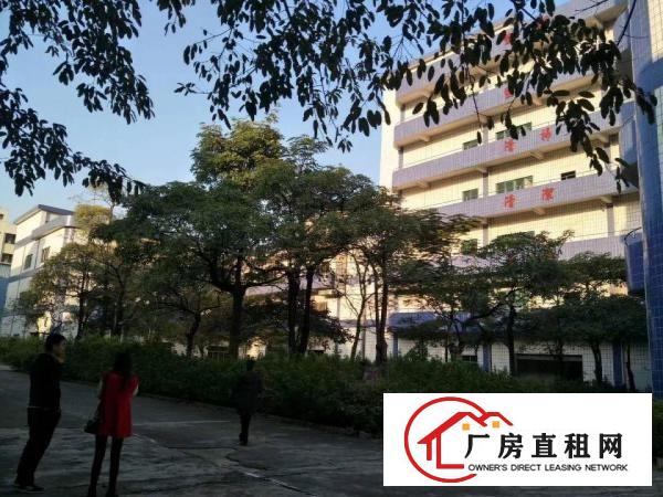
（出租）清溪新出带红本花园式独院厂房40000平方