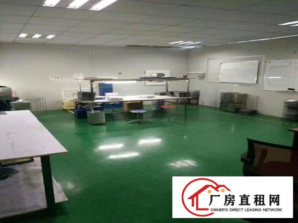 
（出租）凤深大道边标准厂房三楼一层共2500平方