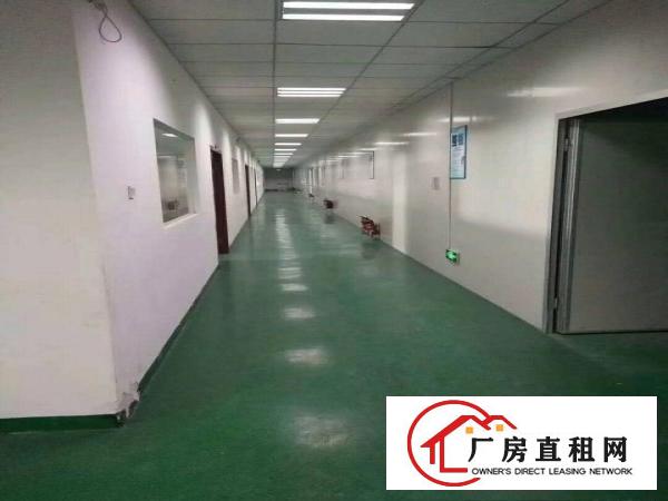 
（出租）凤深大道边标准厂房三楼一层共2500平方