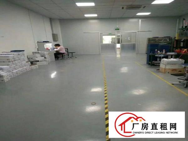 
（出租）凤深大道边标准厂房三楼一层共2500平方