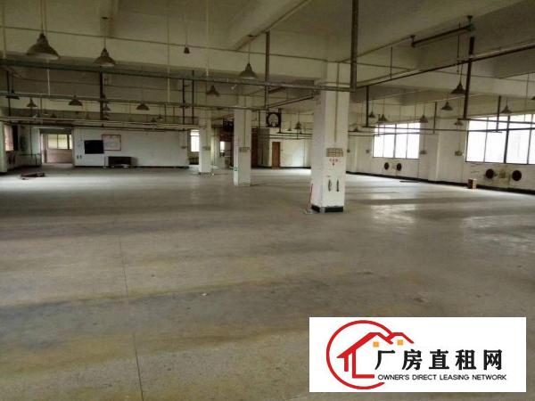 
靓盘东部快线旁带红本独门独院标准厂房8000出租