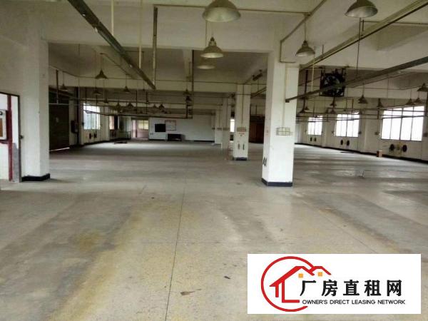
靓盘东部快线旁带红本独门独院标准厂房8000出租