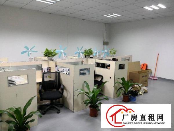 
凤岗金凤凰工业区全新厂房出租700平方起租价钱好谈
