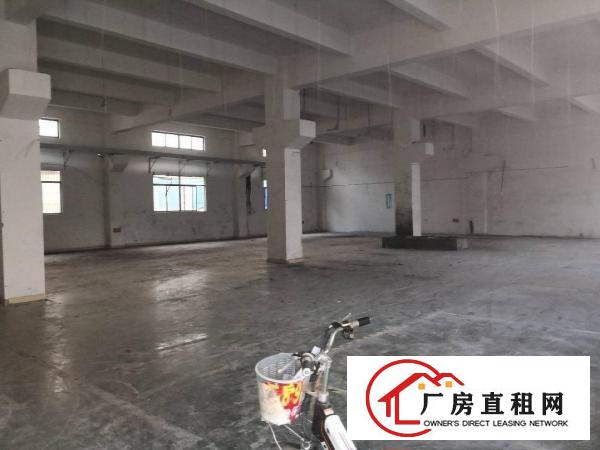 
凤岗金凤凰工业区全新厂房出租700平方起租价钱好谈
