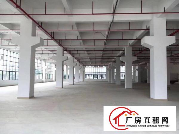 
凤岗金凤凰工业区全新厂房出租700平方起租价钱好谈