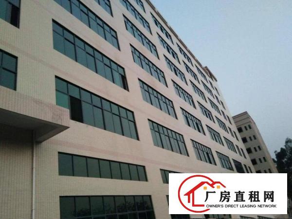 
凤岗竹塘全新独院21000平方厂房半层起租价钱好谈