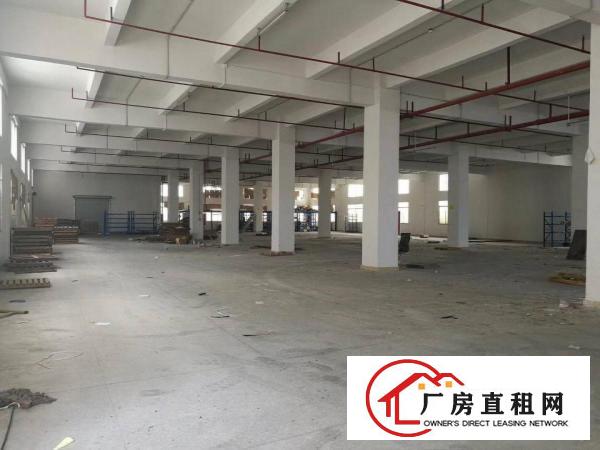 
凤岗竹塘全新独院21000平方厂房半层起租价钱好谈