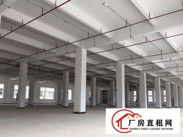 
凤岗竹塘全新独院21000平方厂房半层起租价钱好谈
