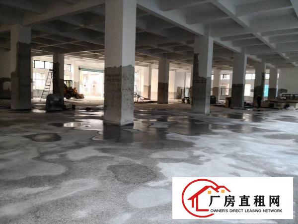 
凤岗油甘埔新出原房东厂房出租每层面积2268平方