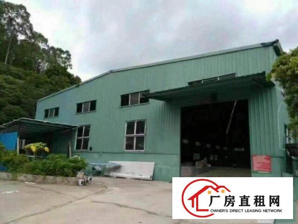 
凤岗五联石头岭空出独院8米钢构厂房3000平方出租