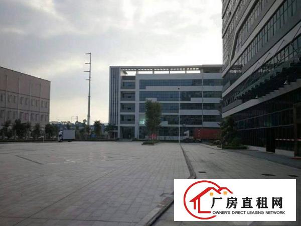 
凤岗金凤凰工业区二楼1600平带豪华办公室厂房急租