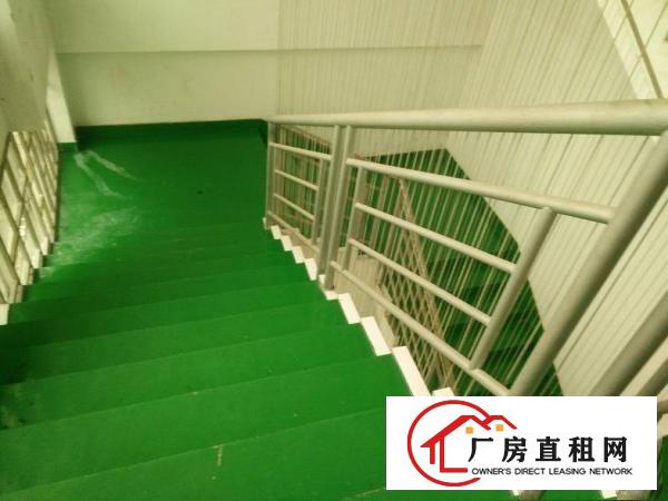 
凤岗金凤凰工业区二楼1600平带豪华办公室厂房急租