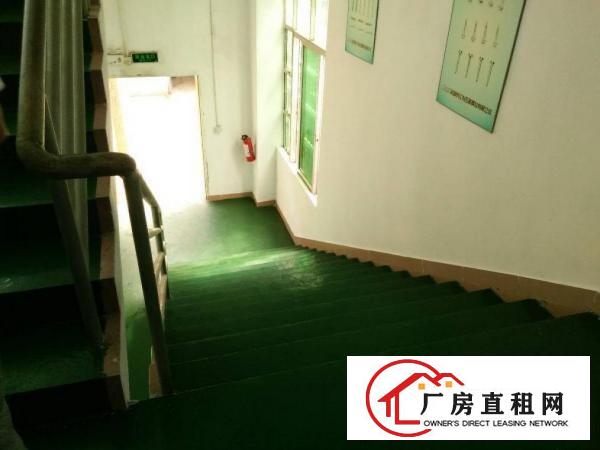 
凤岗金凤凰工业区二楼1600平带豪华办公室厂房急租