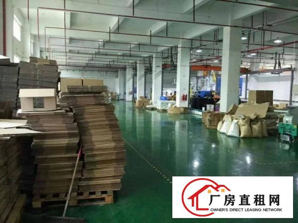 
凤岗金凤凰工业区二三楼厂房1600平方急租