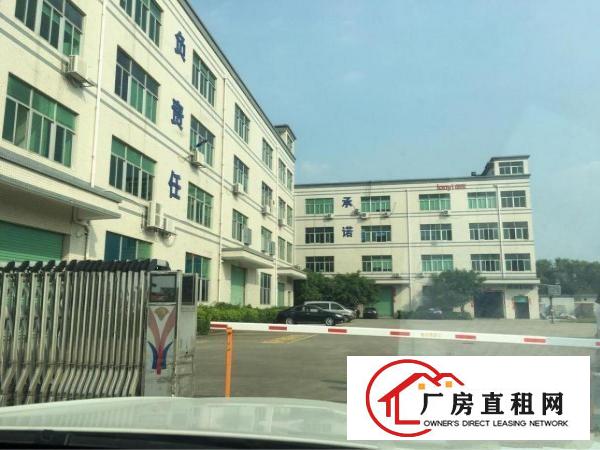 
凤岗镇雁田标准一楼厂房1500平方米带办公室出租