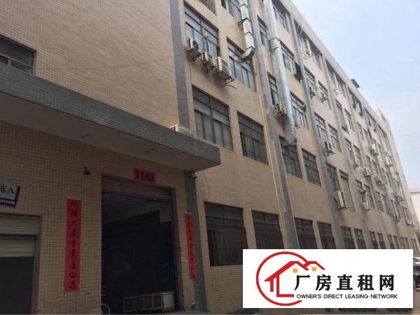
凤岗雁田标准一楼厂房2550平方米带现成办公室出租