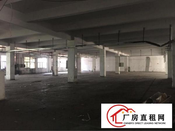 
凤岗雁田标准一楼厂房2550平方米带现成办公室出租