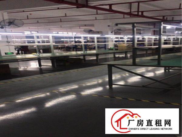 
凤岗镇翡翠山谷边二楼厂房2800平方米带办公室出租