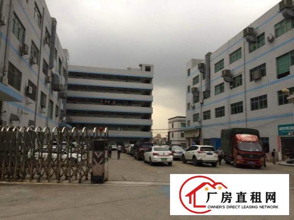 
凤岗天堂围西旺工业区新出1180平一楼厂房火热招租