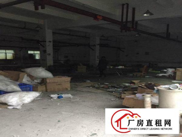 
凤岗天堂围西旺工业区新出1180平一楼厂房火热招租