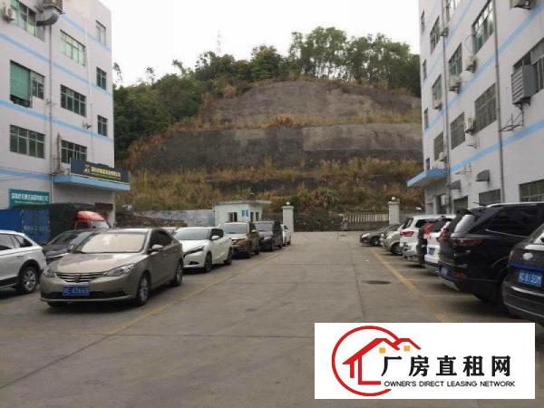 
凤岗天堂围西旺工业区新出1180平一楼厂房火热招租