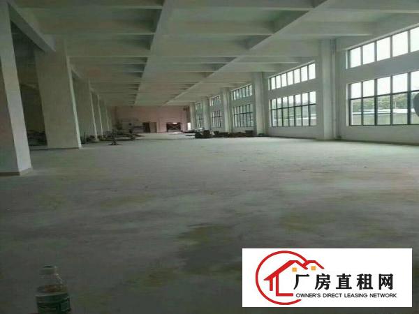 
凤岗天堂围标准厂房6米一楼2000平米出租