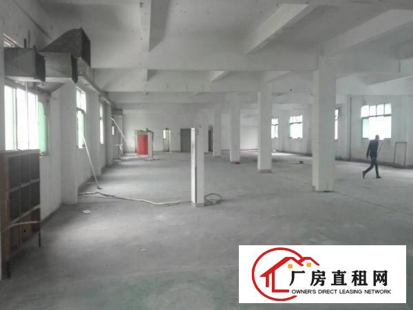 
三层独院厂房3300平米有宿舍及大院子配套