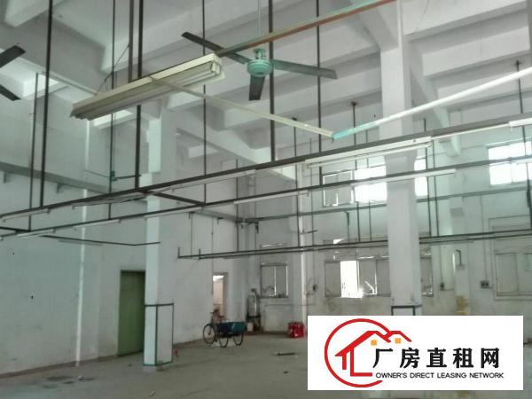
标准厂房带现成水电装修700平米业主出租