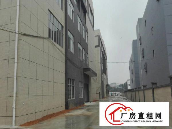 
全新标准重工厂房四层2650平米/层可分租