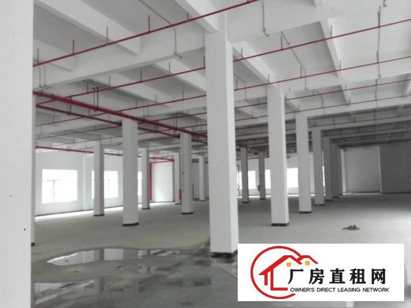 
全新标准重工厂房四层2650平米/层可分租