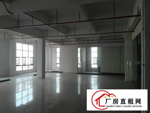 
全新标准重工厂房四层2650平米/层可分租
