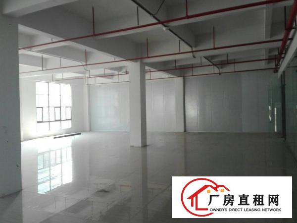 
全新标准重工厂房四层2650平米/层可分租