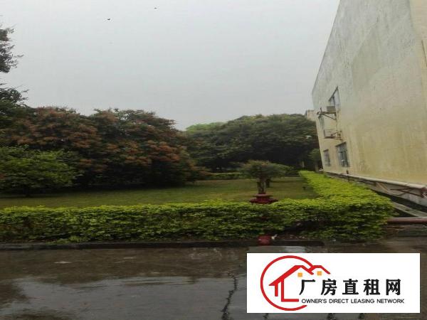 
重型厂房9米高一楼车间/超大空地厂房业主直接出租