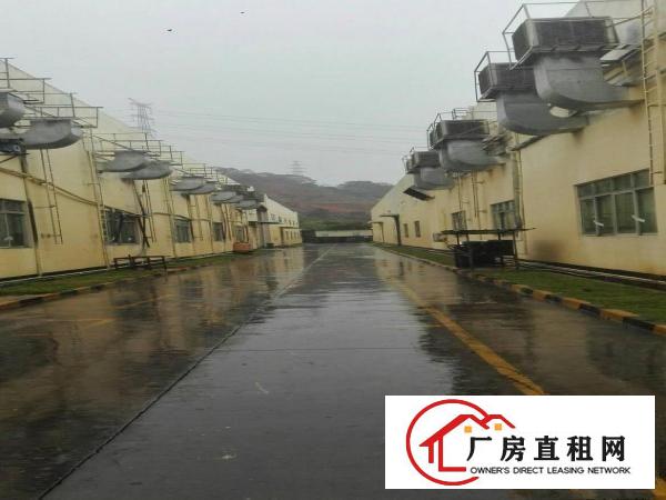 
重型厂房9米高一楼车间/超大空地厂房业主直接出租
