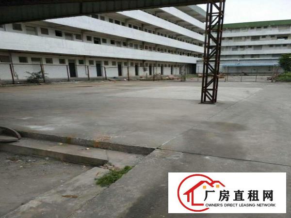 
凤岗雁田独门独院5层厂房3300平米