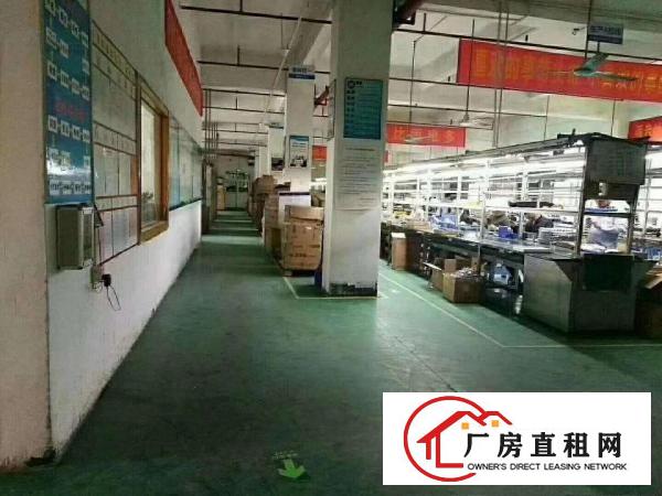 
凤岗三联路楼上整层厂房面积5000平，形象非常好