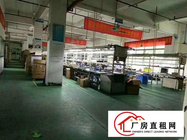 
凤岗三联路楼上整层厂房面积5000平，形象非常好