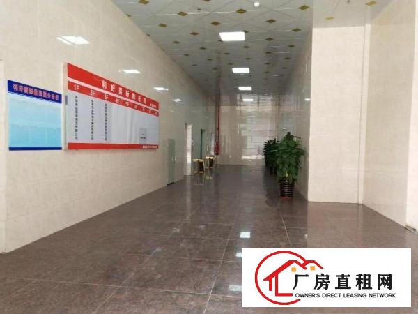 
凤岗原房东全新电商工业园单层2800平方按需招租