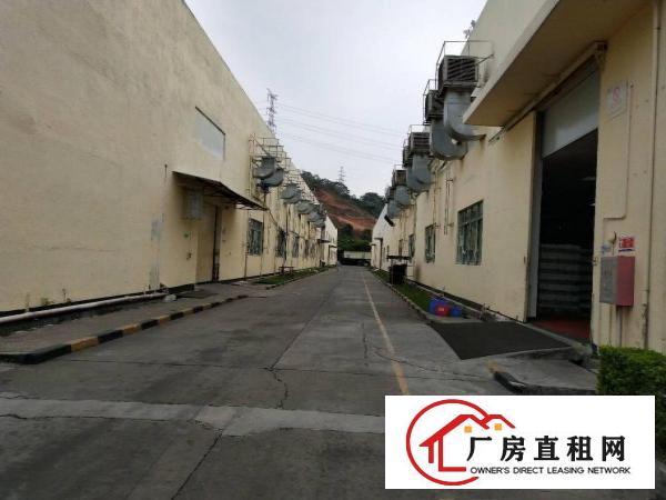 
凤岗10米高钢构3万多方火爆招租