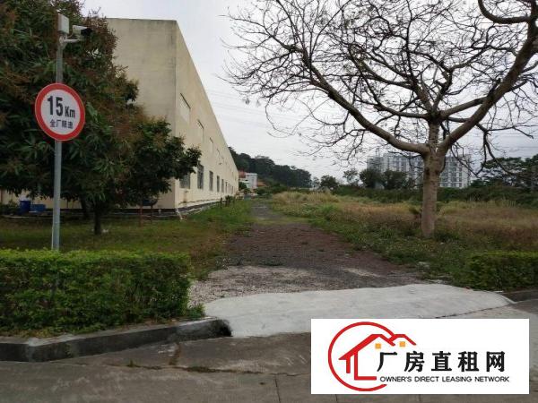 
凤岗10米高钢构3万多方火爆招租
